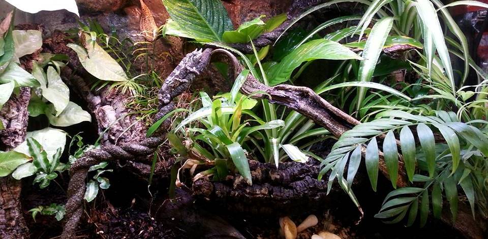 PositioningYourThermostatProbe