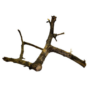 ProRep BLACK Acacia Branch MEDIUM