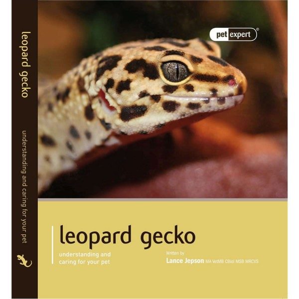 20217_Pet_Expert_Leopard_Gecko-6.jpg