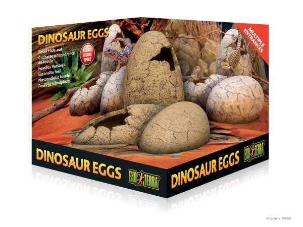 Exo Terra Dinosaur Eggs Fossil Hide Out PT2841