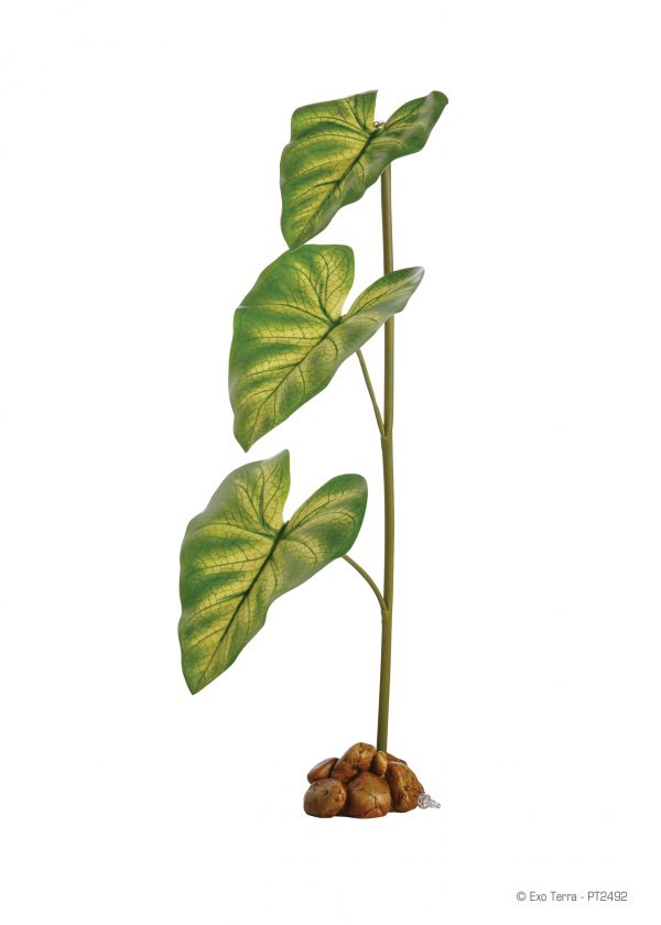 Exo Terra - Dripper Plant Large - Image 2