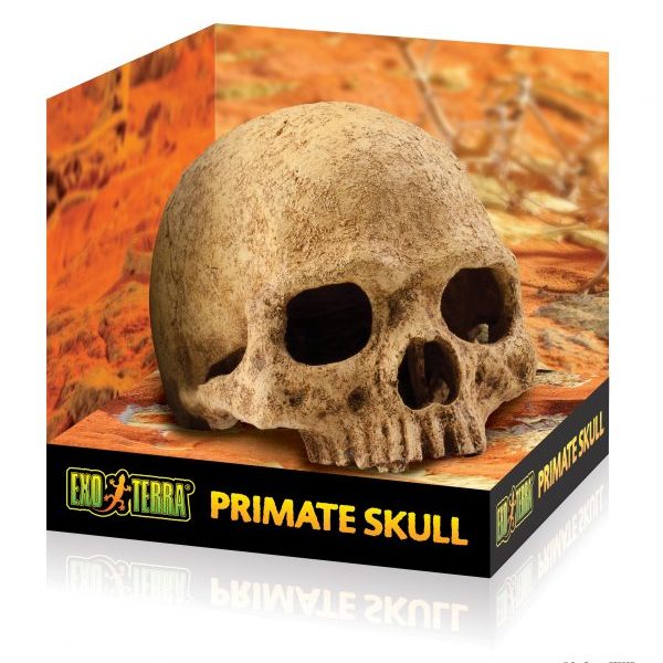 PT2855_Primate_Skull_Packaging-e1461506778667-6.jpg
