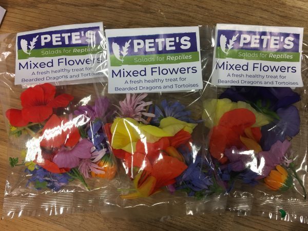 Pete's Mixed Flowers