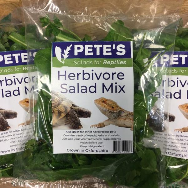 Petes-Salads-12.jpg