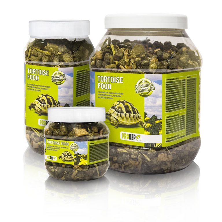 Reptile Food Dry Food, Live Food & Frozen Food Evolution Reptiles
