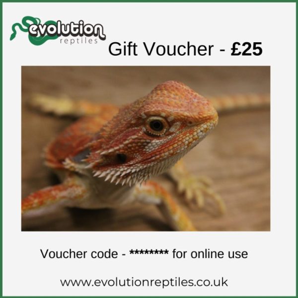 Vouchers Photo