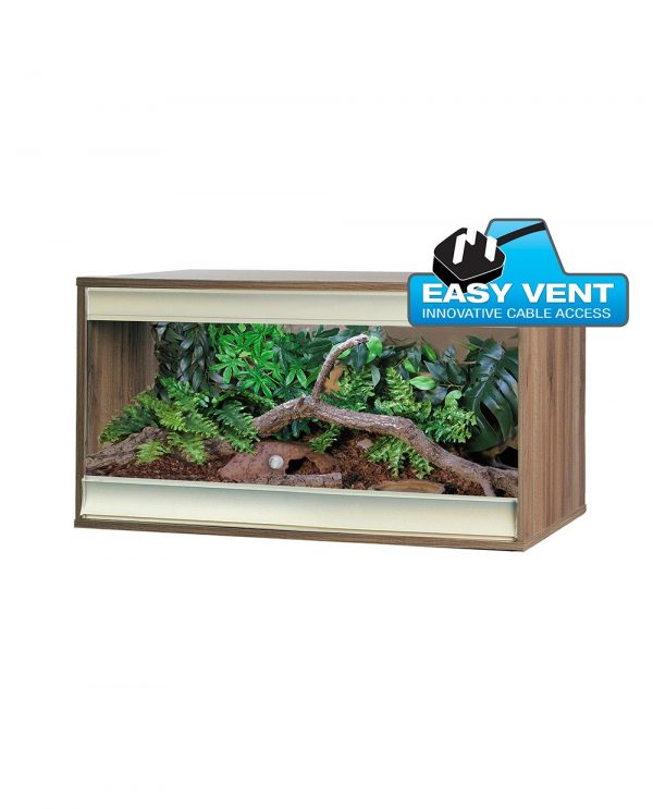 VivExotic Viva+ Medium Terrestrial Vivarium in walnut