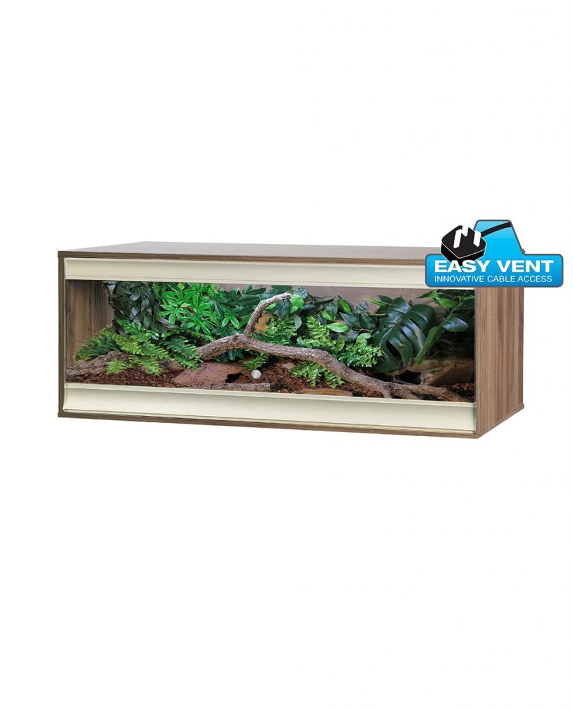 Uromastyx Vivarium Set Up Evolution Reptiles