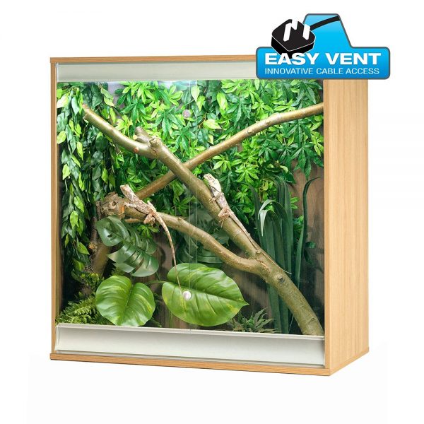 Medium VivExotic Viva+ Arboreal Vivarium For Sale in Oak