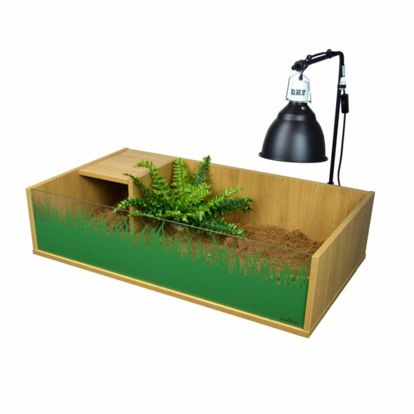 tortoise-table