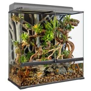 Image of Exo Terra 90x90x45cm terrarium. Decorated