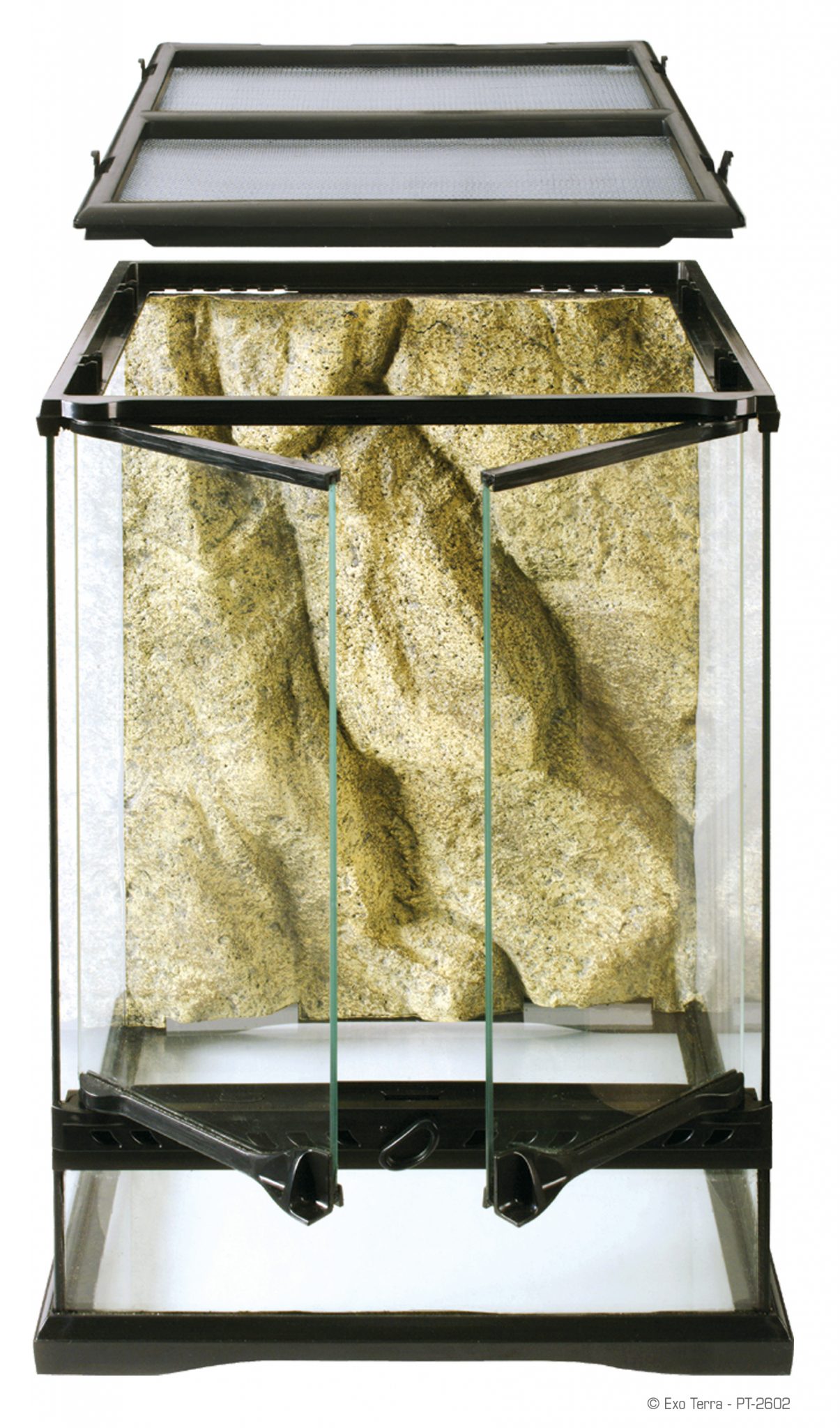 Mantis Terrarium Set Up Large Evolution Reptiles