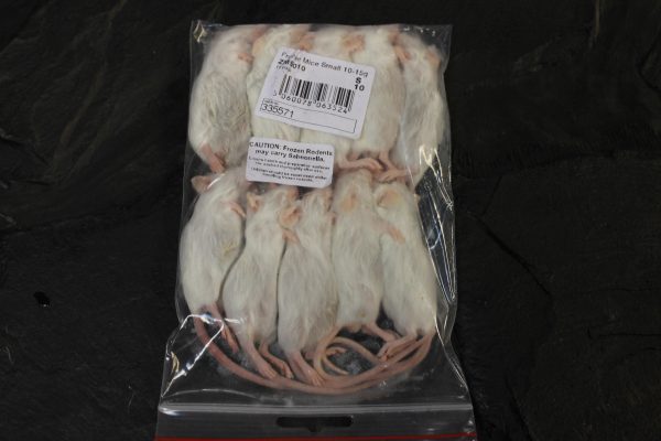 Small Mice – Pack of 10