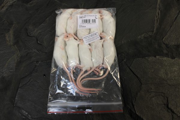 Pack of large frozen mice for snakes