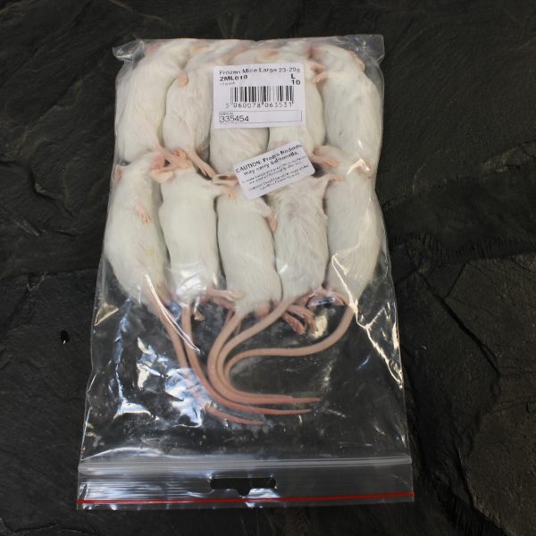 Pack of large frozen mice for snakes