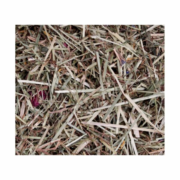 ProRep Tortoise Life Edible Substrate - Image 3