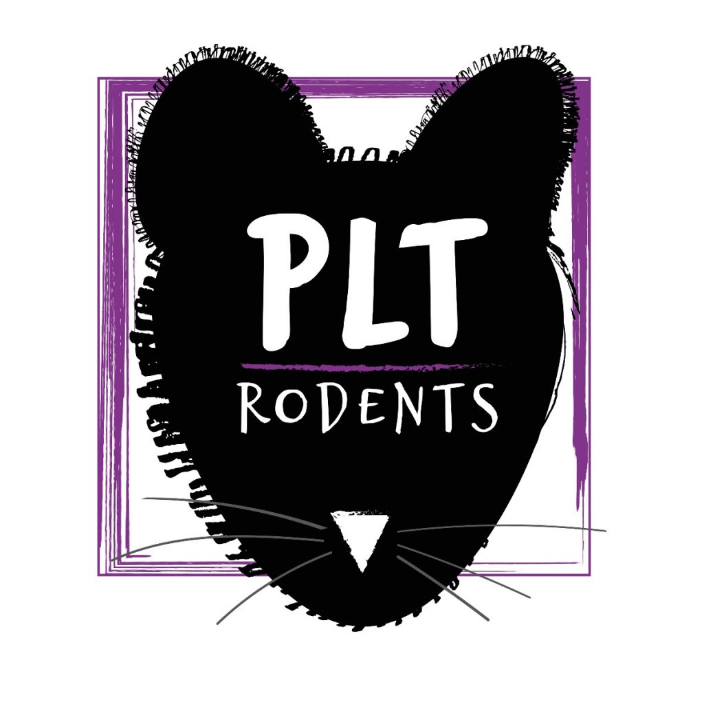 PLT Frozen Hopper Mice 6g+ Pack of 10 Evolution Reptiles