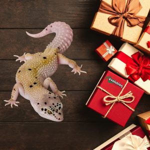 Gifts for reptile keepers (1080 x 1080 px)