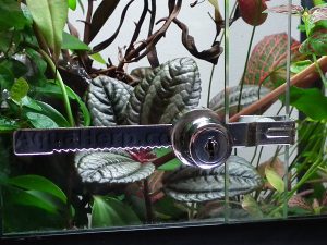 Vivarium Lock