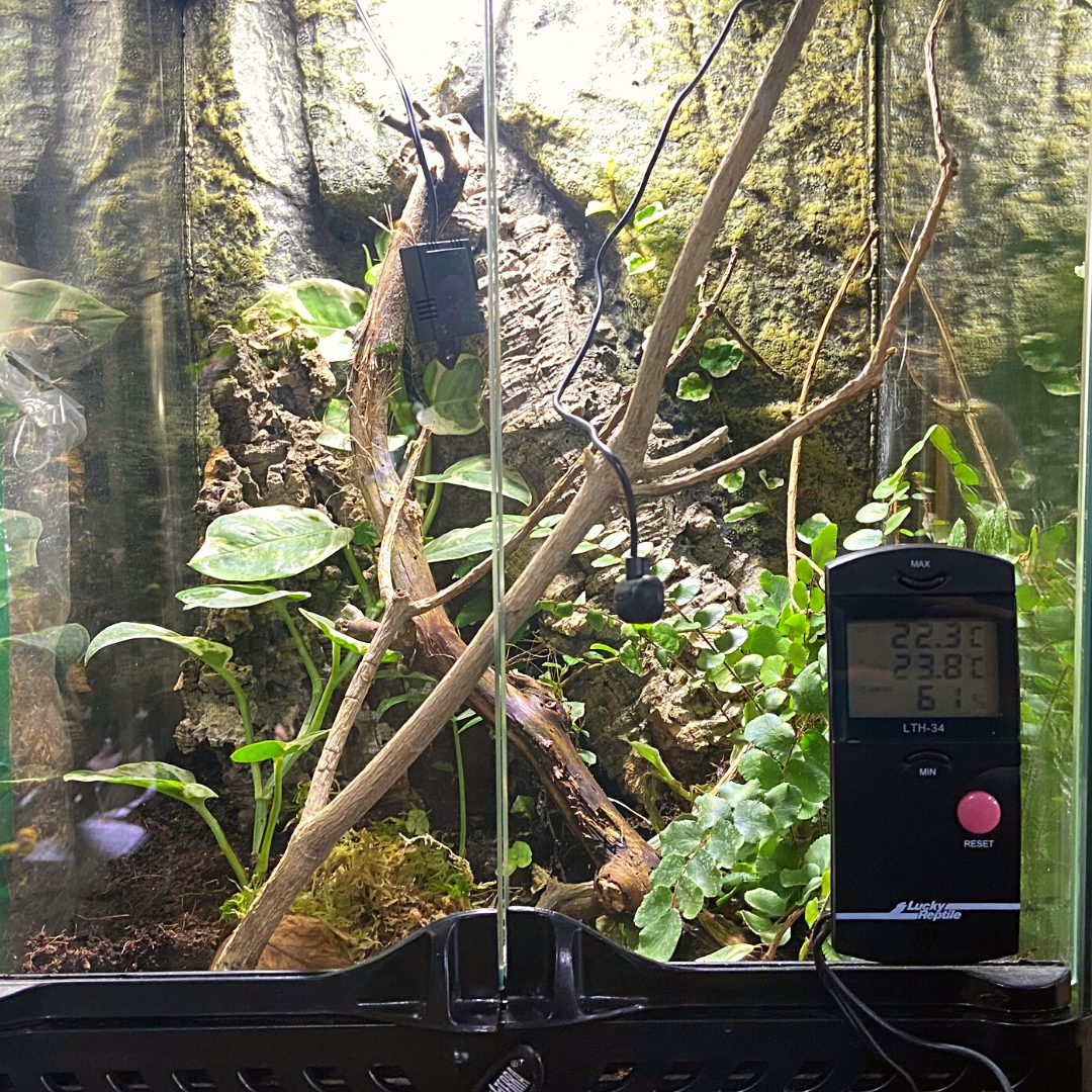HOT Reptile Temperature Vivarium Rearing  Thermometer Humidity Hygrometer 