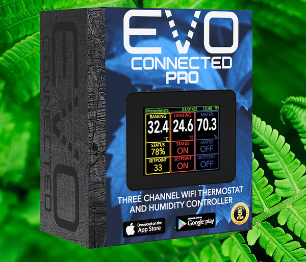 Specialist Reptile Shop In Oxford Reptile Supplies For Sale