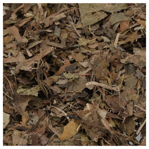 ProRep Leaf litter brick contents