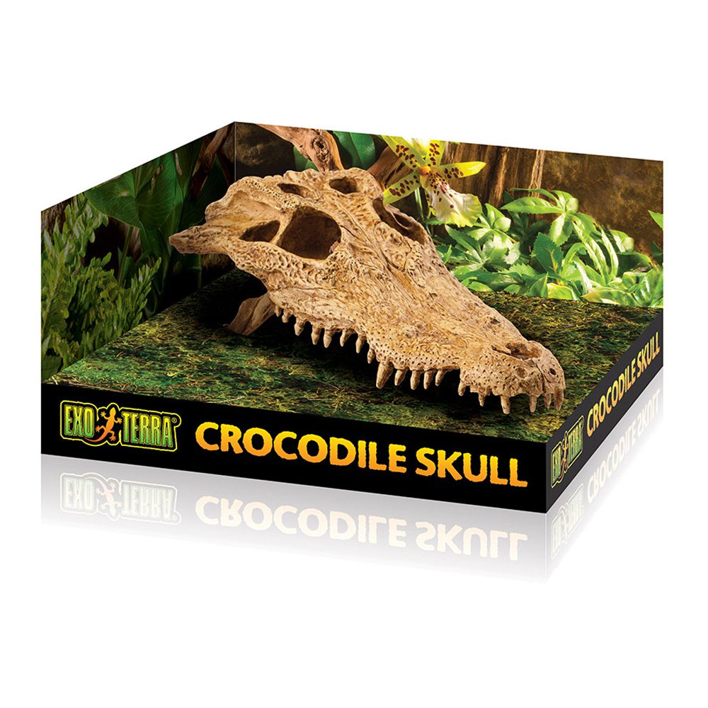Exo Terra Crocodile Skull, PT2856