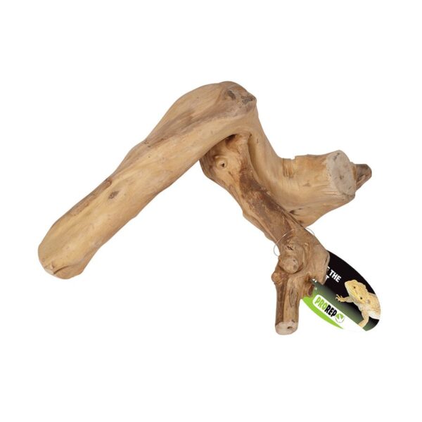 ProRep Jakarta Reptile Branch, Small