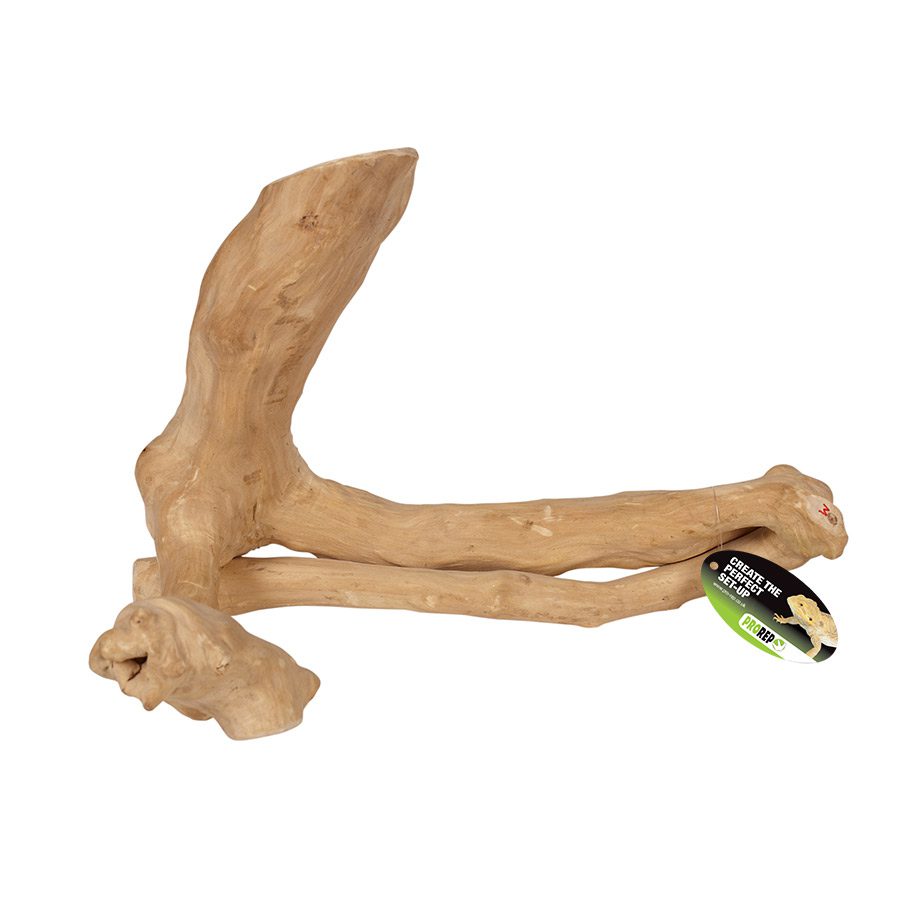 ProRep Jakarta Reptile Branch, Medium