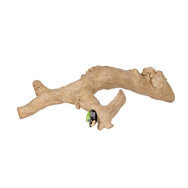 ProRep Jakarta Reptile Branch, Large