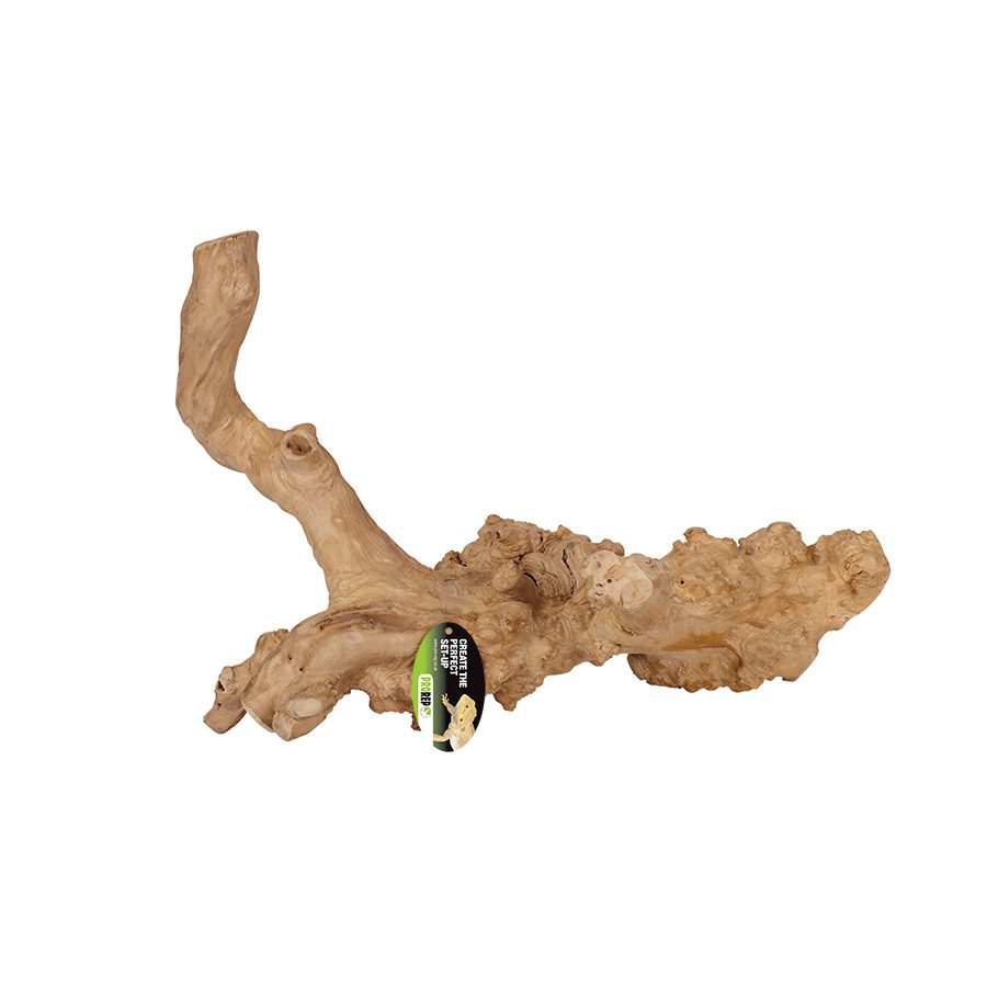 ProRep Jakarta Reptile Branch, Extra-Large