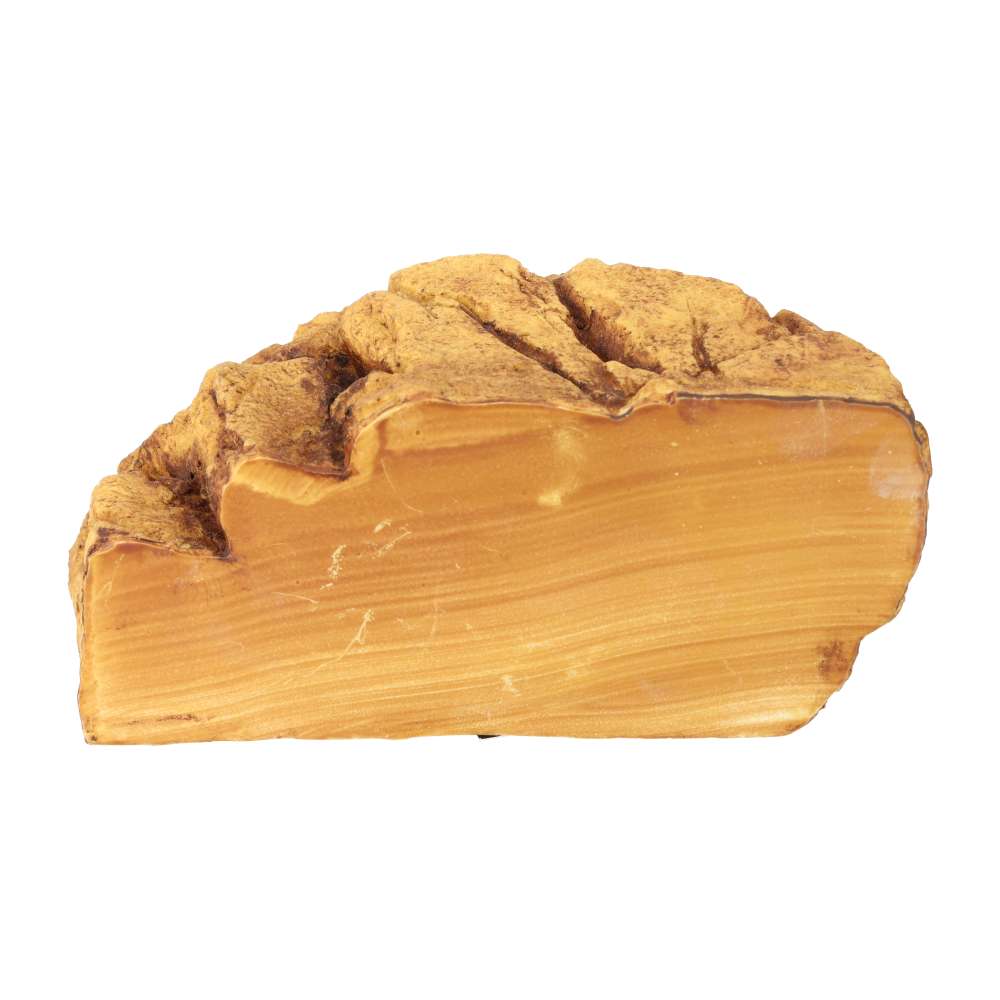 ProRep Reptile Ridge - Small - Image 4