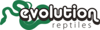 Evolution Reptiles
