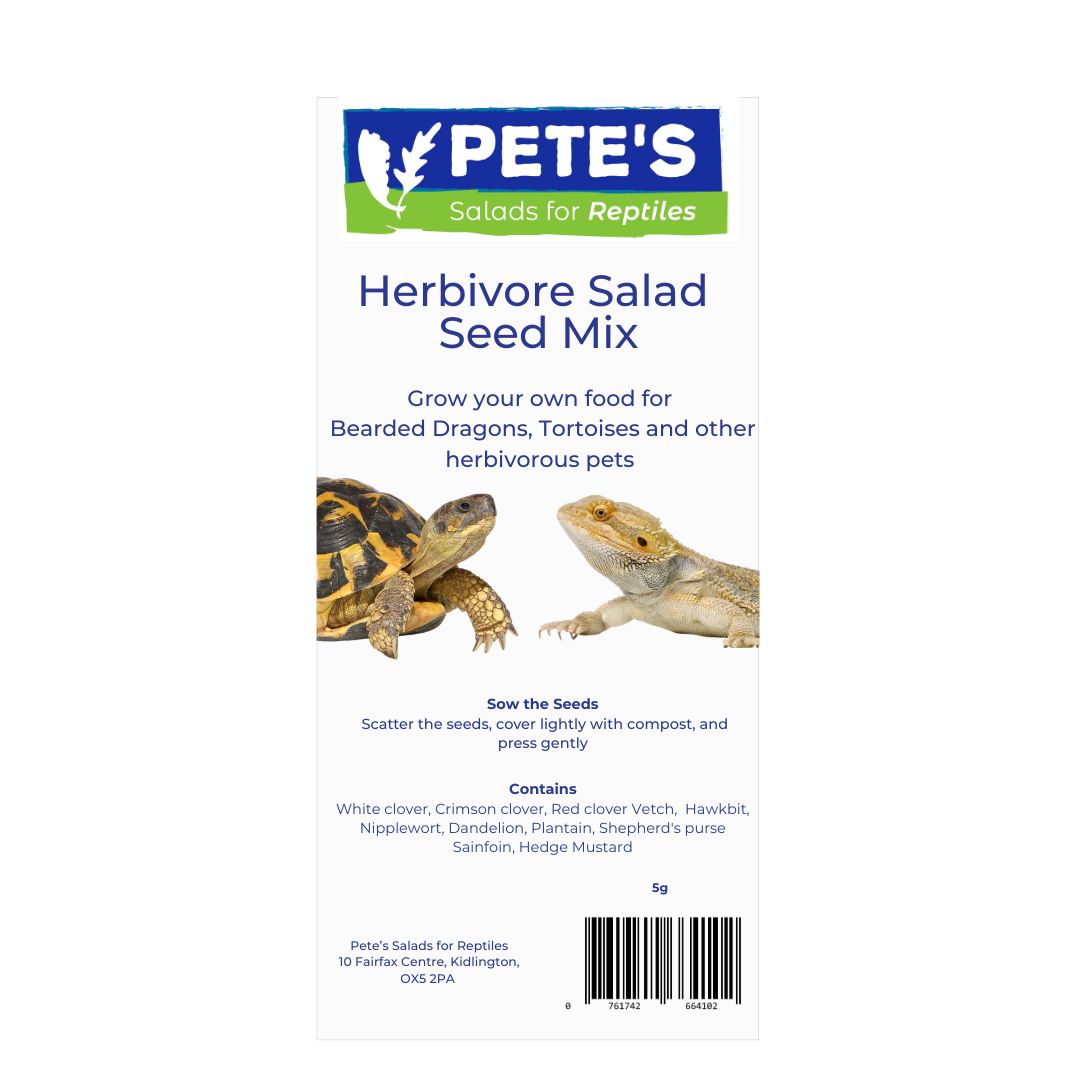 Grow your own food for Bearded Dragons, Tortoises and other herbivorous pets