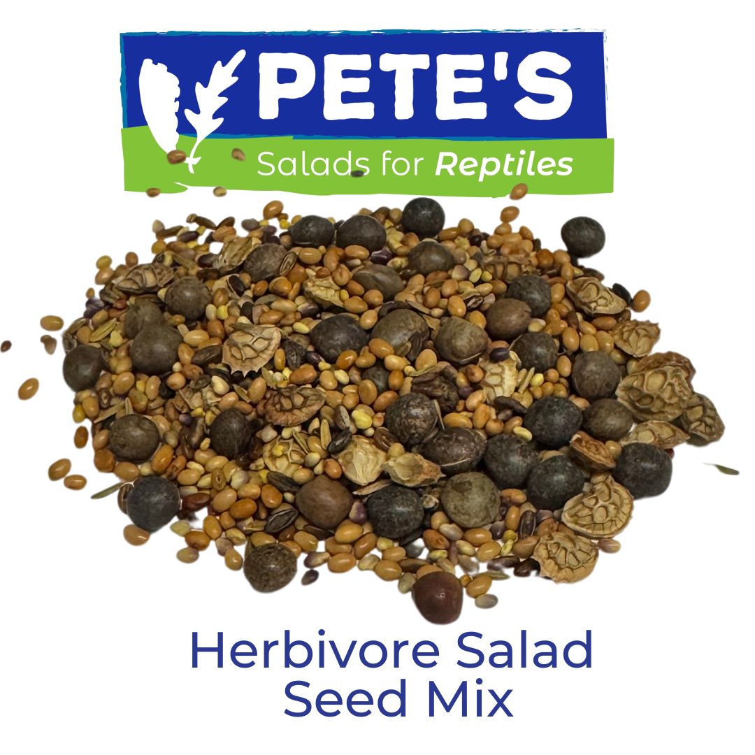 Grow your own food for Bearded Dragons, Tortoises and other herbivorous pets