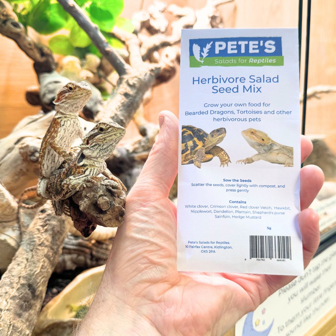 Pete's Herbivore Salad Seed Mix - Image 2