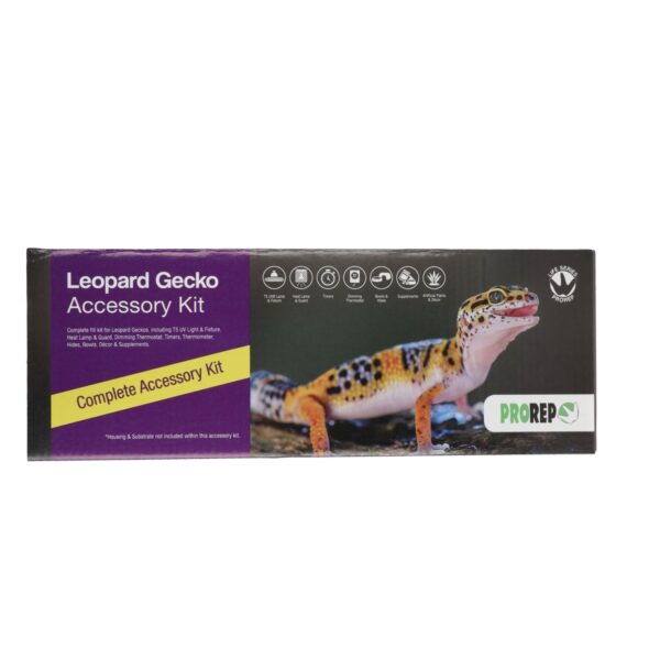 ProRep Leopard Gecko Accessory Kit