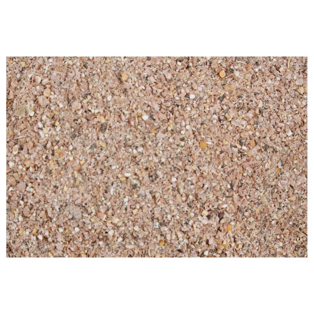ProRep Bug Grub BULK Pack, 1Kg - Image 2
