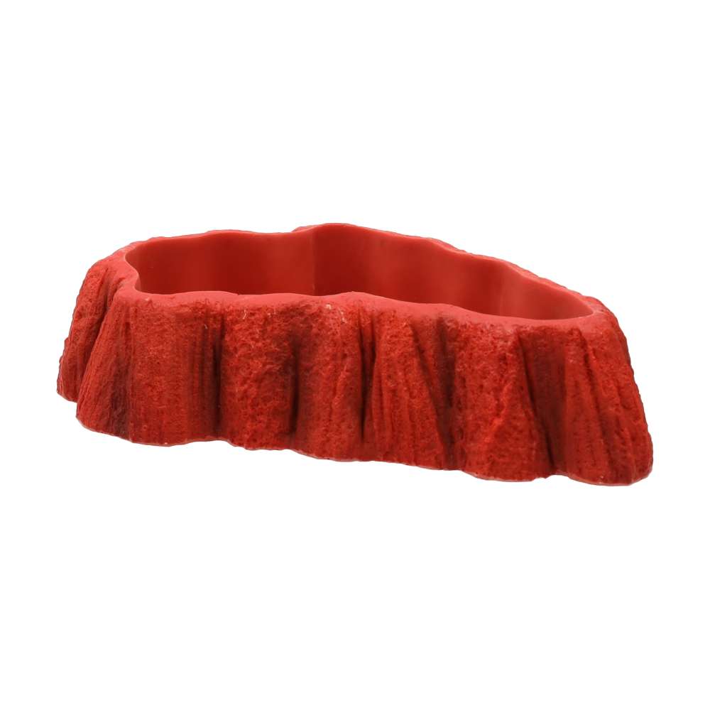 ProRep Beardie Tucker Feed Dish - Image 5