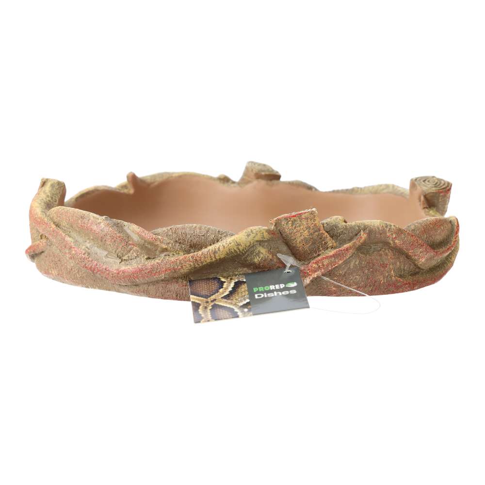 ProRep Root Dish Medium - Image 2