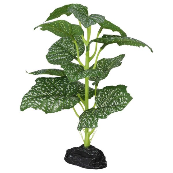 Begonia polka dot 27cm