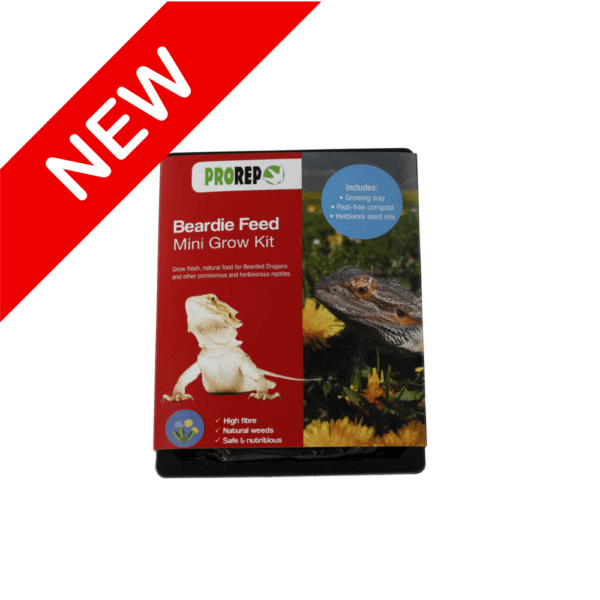 Beardie feed grow kit