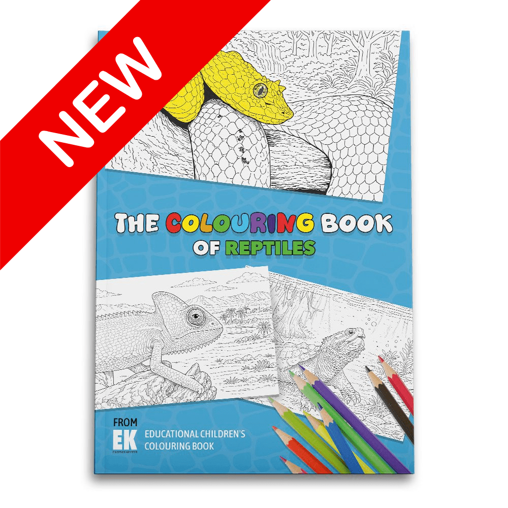 EK Colouring Book
