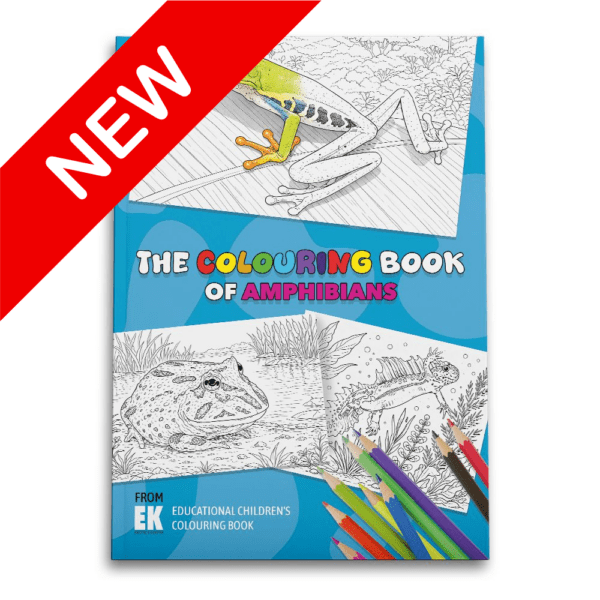 Ek colouring book