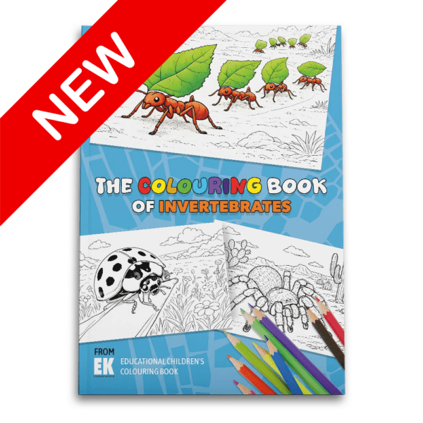 EK Colouring book
