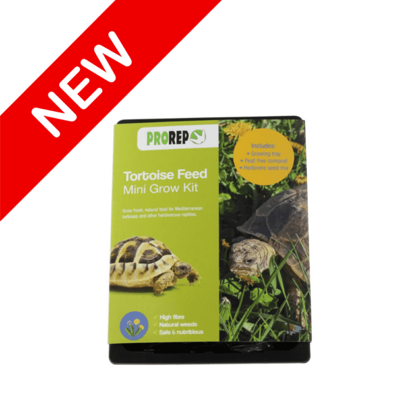 Tortoise food grow kit