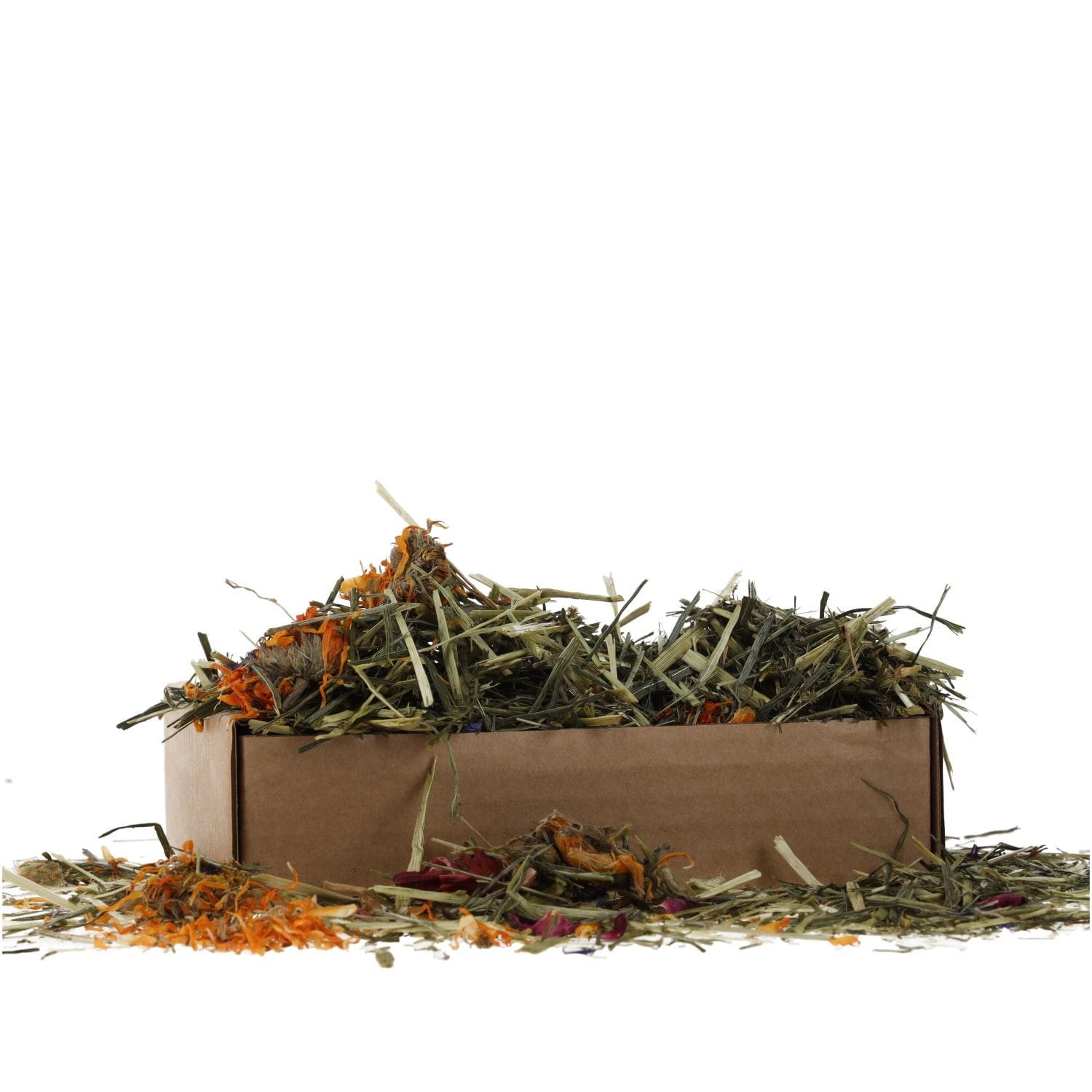 ProRep Tortoise Flower Foraging Tray 70g - Image 5