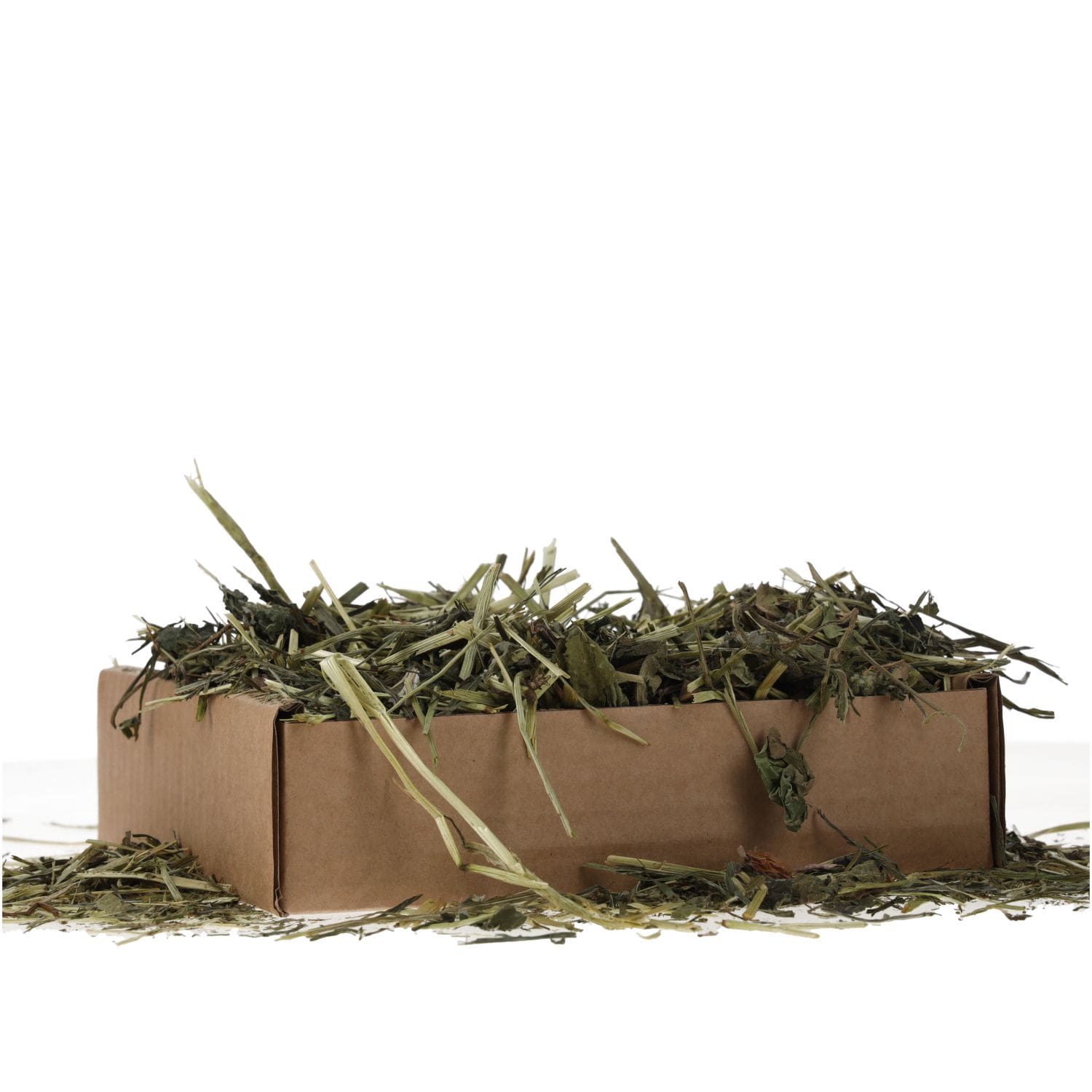 ProRep Tortoise Leaf Foraging Tray 70g - Image 5