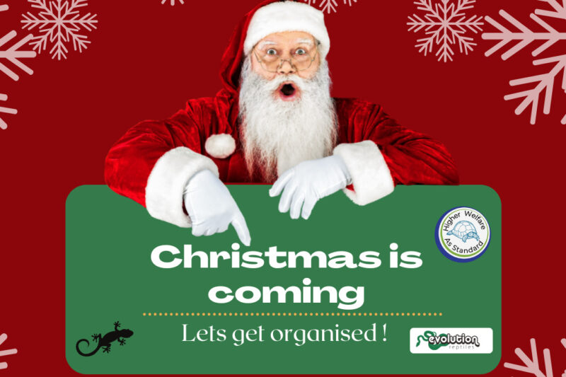 2022 Christmas - lets get organised
