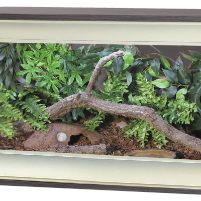 VE Viva+ Medium Terrestrial Vivarium in grey colour